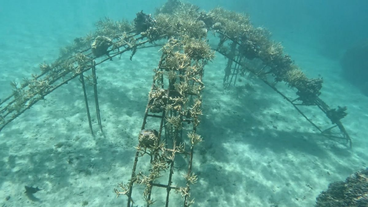 PF 2023 (10/10) – Bora Bora: The Ocean