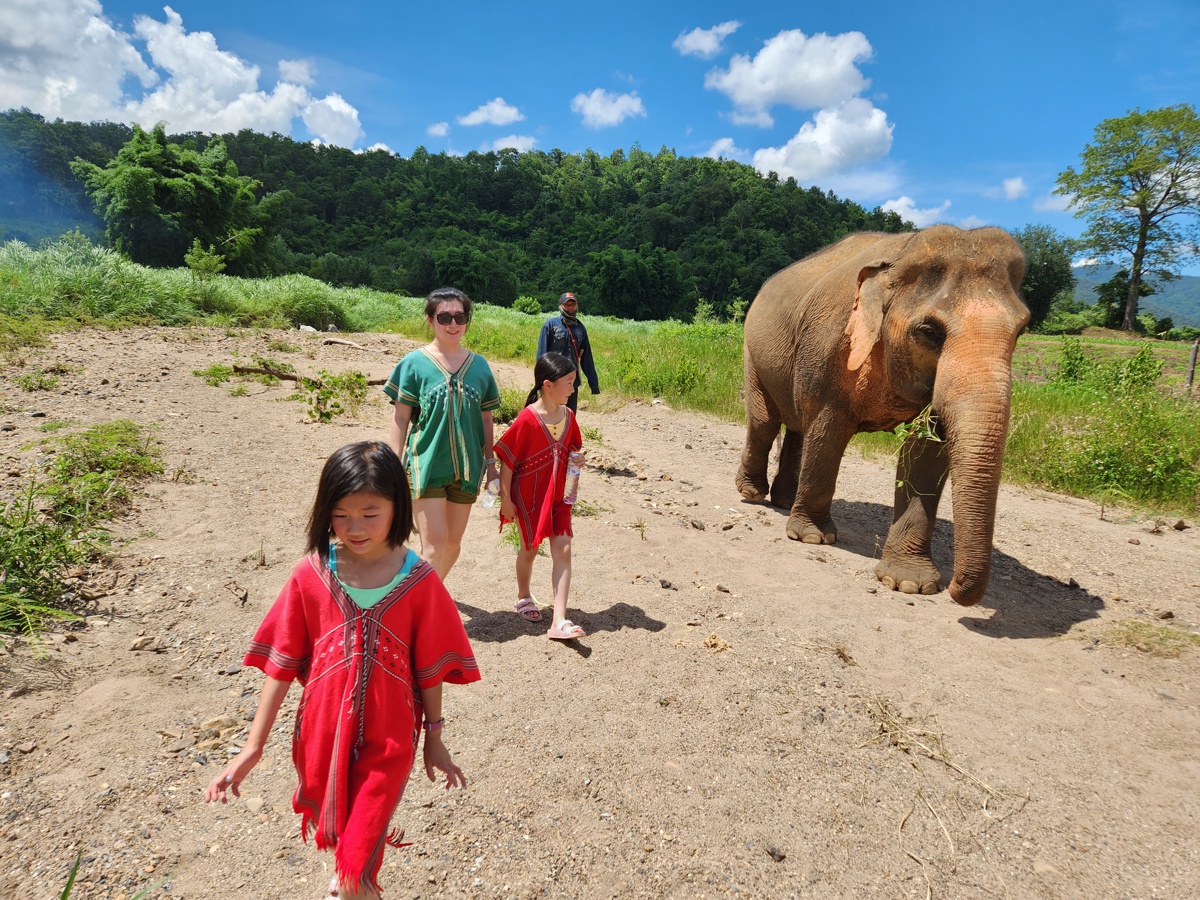 SEA 2023 (10/17) – Chiang Mai: Elephants!!!